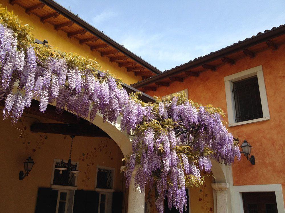 Macesina Casa rural